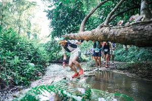 BIB: 
                            <button type="button" onclick="openModal(25443085)" class="btn btn-primary btn-sm float-right btn-popup" data-toggle="modal" data-target=".modal-high-quality">
                        <i class="fas fa-shopping-cart"></i> Add to Cart
                    </button>
                                            <button type="button" onclick="isThisMe(25443085, true)" class="btn btn-success btn-sm float-right btn-popup btn-isme hidden" data-toggle="tooltip" data-placement="bottom" title="นี่คือรูปของคุณใช่ไหม คลิกที่นี่เพื่อเอาเข้าอัลบั้ม">
                        <i class="fas fa-plus"></i> Add to album
                    </button>
                    <button type="button" onclick="isThisMe(25443085, false)" class="btn btn-warning btn-sm float-right btn-popup btn-isnotme hidden">
                        <i class="fas fa-ban"></i> Remove from album
                    </button>